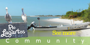 Yucatan Lots for sale