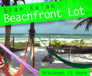 Tulum lot for sale